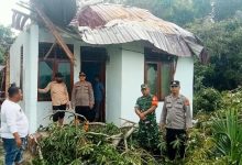 Photo of Pohon Tumbang Timpa Rumah Warga, Kapolsek Idi Rayeuk Turun Langsung Bergerak Bersama Masyarakat
