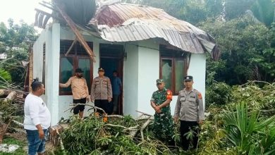 Photo of Pohon Tumbang Timpa Rumah Warga, Kapolsek Idi Rayeuk Turun Langsung Bergerak Bersama Masyarakat