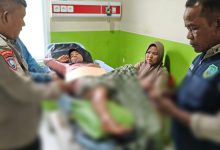 Photo of Warga Panti Diserang Beruang Saat Menyadap Karet, Kapolsek IPTU Arifin Bergerak Cepat