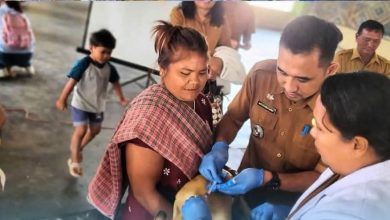 Photo of Peringati World Rabies Day 2026, Pemkab Karo Gelar Vaksinasi Rabies Massal