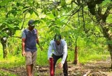 Photo of Pengukuran dan Pemasangan Patok Jadi Tahap Awal Jalan Alternatif di Pancur Batu