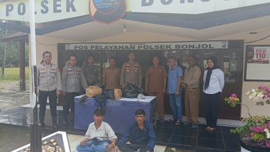 Photo of Polsek Bonjol Tangkap Dua Pembawa Ganja 16 Kilogram di Jalan Lintas Sumatera
