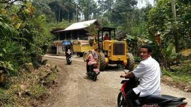 Photo of Proyek Rehabilitasi Jalan Panti–Simpang Empat Disorot, Papan Informasi Pekerjaan Dipertanyakan