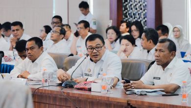 Photo of Dukung Perluasan Listrik, Asri Ludin Tambunan Minta PLN Cek Legalitas Eks HGU