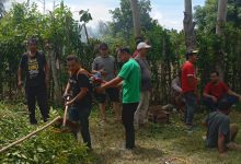 Photo of Gotong Royong Kegiatan Rutin Warga Dusun Bosnila Gampong Lam Lumpu