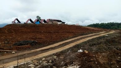 Photo of Puncak Lanai, Destinasi Wisata Baru di Kabupaten Pasaman yang Menawarkan Pesona Alam Pegunungan