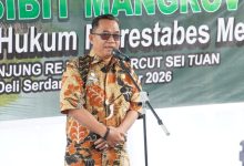 Photo of Pemkab Deli Serdang Dukung Pelestarian Pesisir, 1.994 Bibit Mangrove Ditanam di Tanjung Rejo