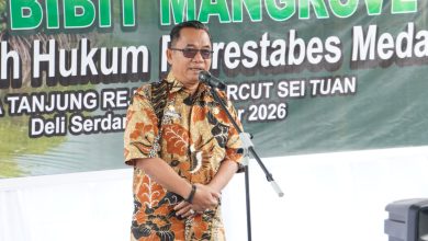Photo of Pemkab Deli Serdang Dukung Pelestarian Pesisir, 1.994 Bibit Mangrove Ditanam di Tanjung Rejo