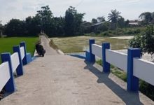 Photo of Jembatan Dusun II Sidourip Rampung, Akses Petani Semakin Mudah