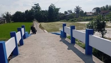Photo of Jembatan Dusun II Sidourip Rampung, Akses Petani Semakin Mudah
