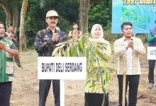 Photo of Deli Serdang Dukung Penanaman 1.997 Bibit Pohon Lintas Generasi