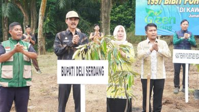 Photo of Deli Serdang Dukung Penanaman 1.997 Bibit Pohon Lintas Generasi