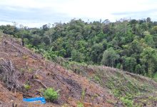Photo of UU Pengaturan Reforma Agraria Buka Jalan Pemulihan Hak Masyarakat dalam Konflik Pertanahan