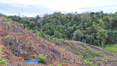 Photo of UU Pengaturan Reforma Agraria Buka Jalan Pemulihan Hak Masyarakat dalam Konflik Pertanahan